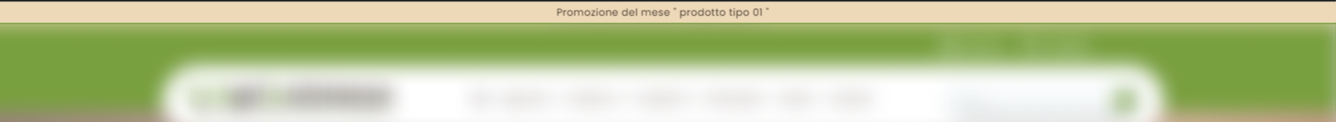 Promo Slim
